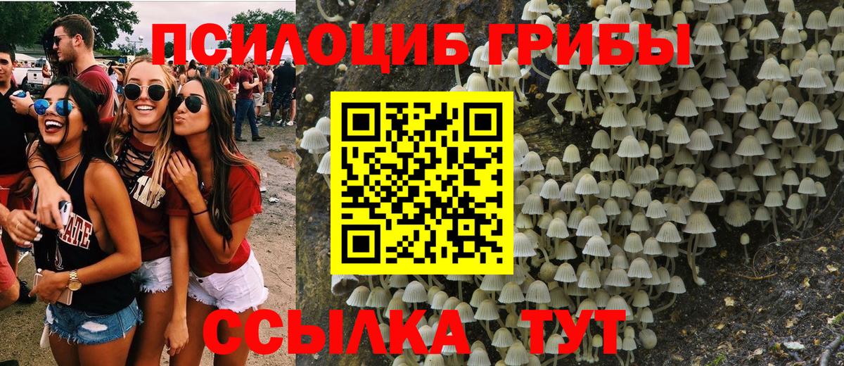 Псилоцибиновые грибы Magic Shrooms  Вход с VPN  где продают   Коломна 